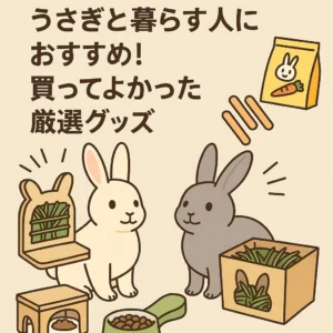 2025年版】実際に買ってよかったうさぎグッズ厳選まとめ｜飼い主目線で