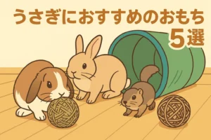 うさぎのおもちゃおすすめ5選｜ストレス解消・知育に役立つ遊び道具ガイド