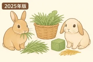 コンフィデンスとチモシー　ウサギ チモシーのきわみ400g ハイペット | うさぎ用品,うさぎ用の牧草