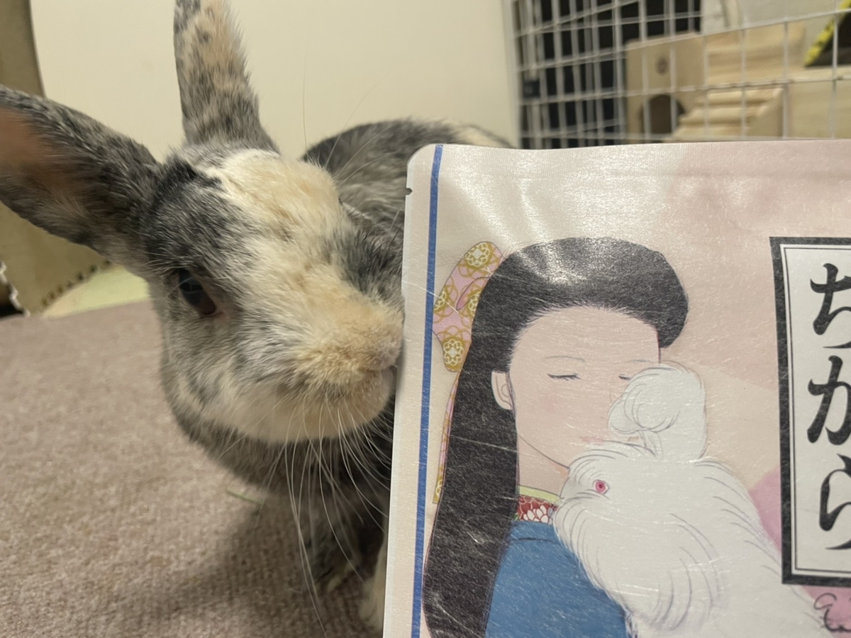 チカラのちからとこはく