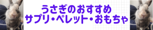 うさぎグッズ2025まとめ