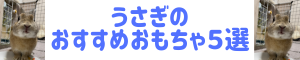 うさぎのおもちゃおすすめ