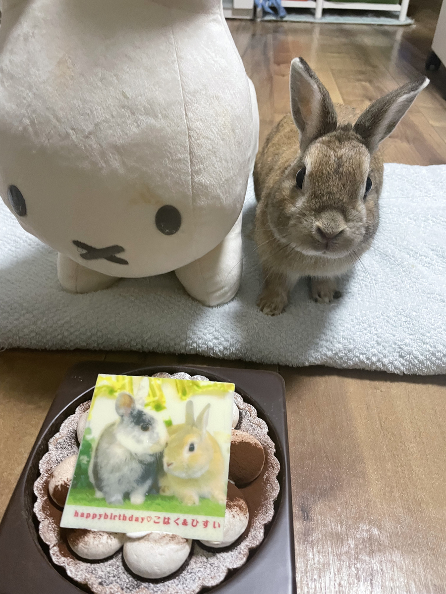 ひすい2歳の誕生日ケーキ
