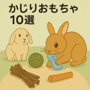 うさぎ リクエスト 8点 まとめ商品 うさぎのかじりおもちゃ10選｜歯の健康・ストレス解消におすすめグッズ