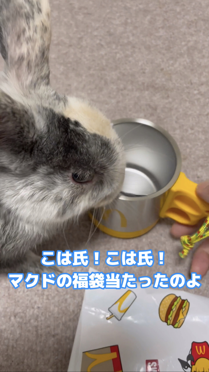 マグカップとこはく