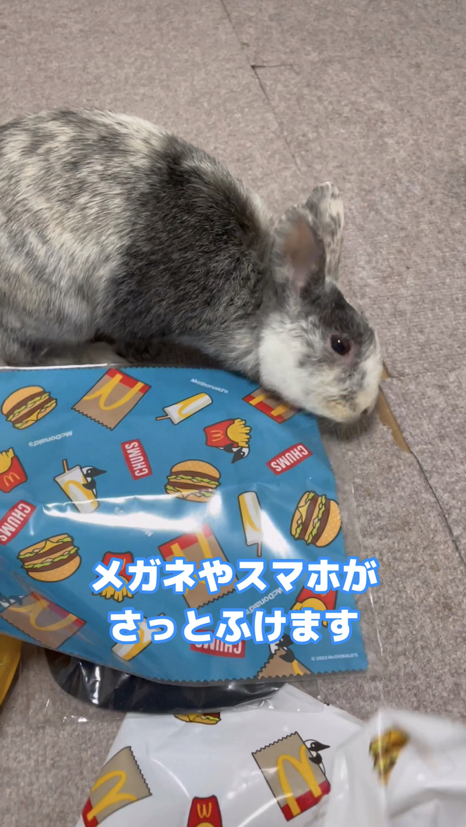 こはくとクロス