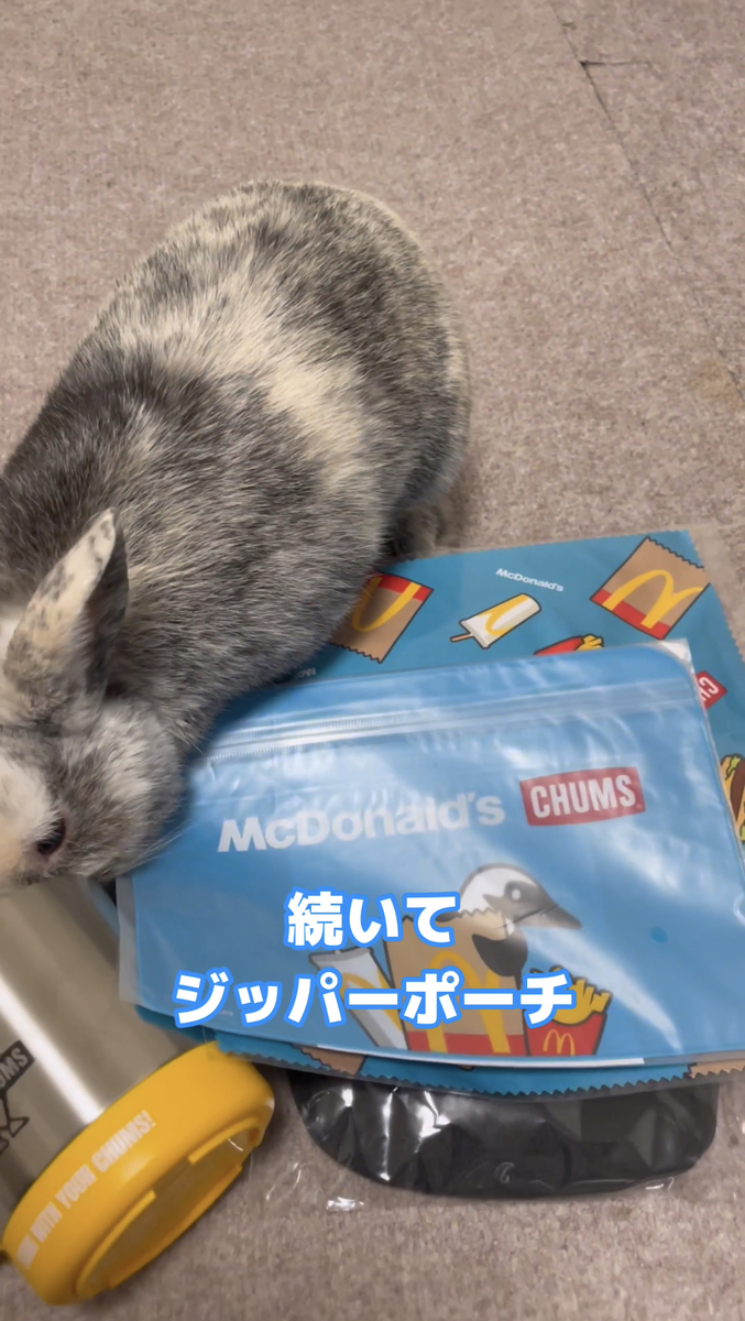 こはくとジッパーポーチ