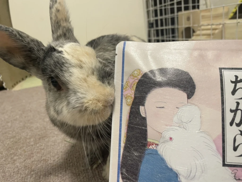 値引きしました！チカラのちから・うさぎのおだんご・まとめ売り 51RB9PZI04L.jpg