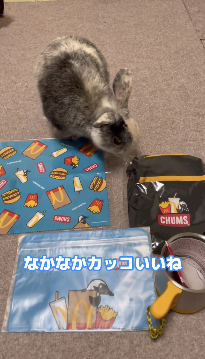 マクド福袋2023とこはく