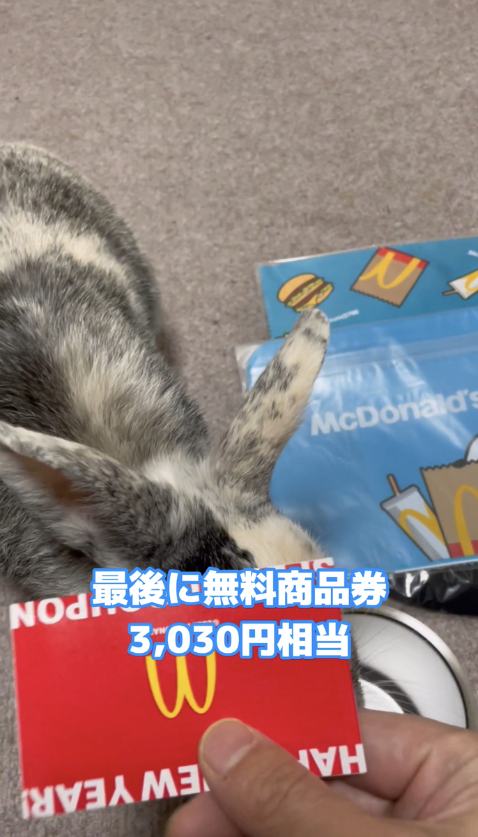 マクド2023商品券