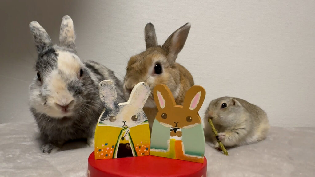 うさぎ２羽とリチャードソンジリス