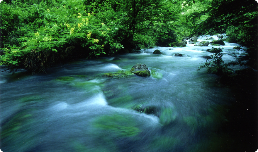 日田天領水の魅力である“自然が育む水の流れ”を象徴するイメージ写真。清らかに澄んだ流れが、天然水のやわらかさと安心感を想起させます。