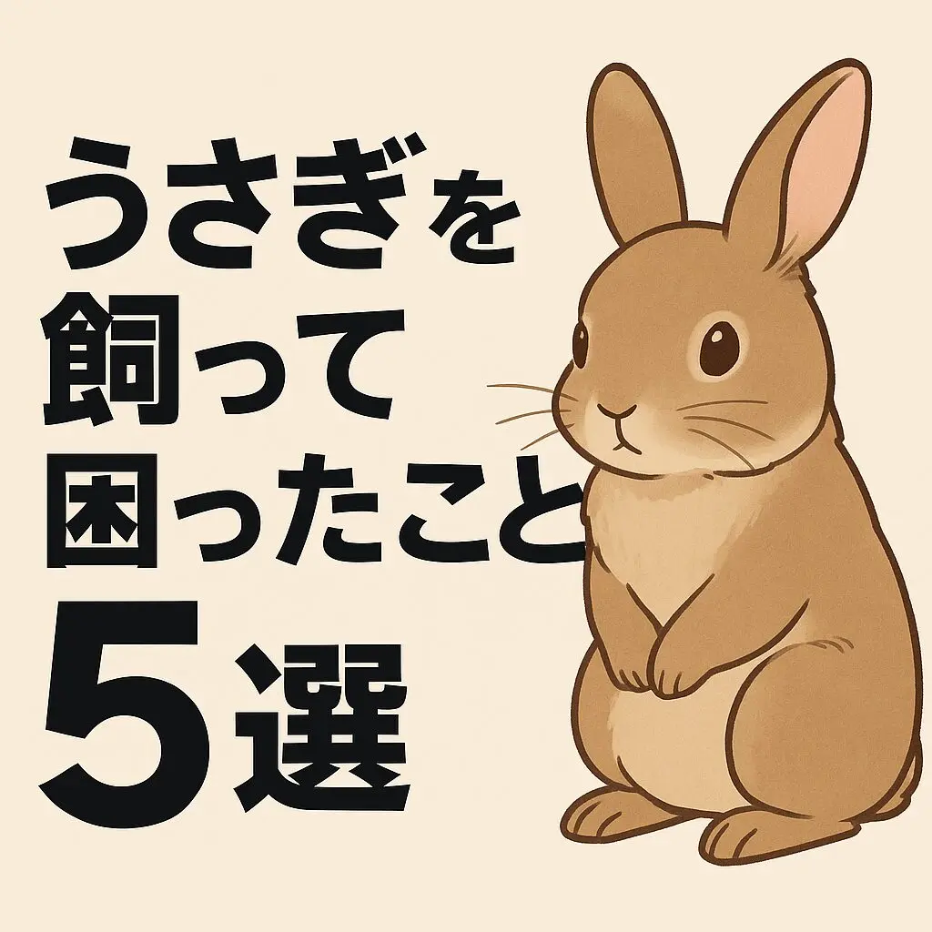 うさぎを飼って困ったこと5選｜換毛期・食事・健康管理で初心者が