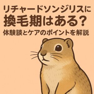 リチャードソンジリスの換毛期とケア方法を解説するアイキャッチ画像