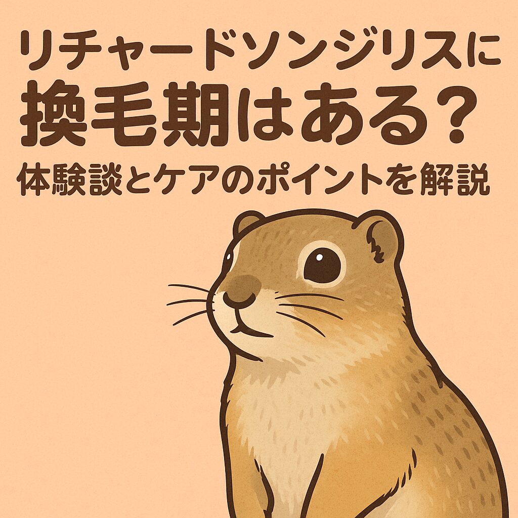 リチャードソンジリスの換毛期とケア方法を解説するアイキャッチ画像