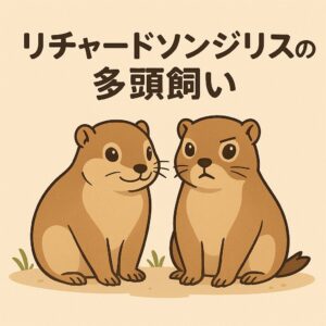リチャードソンジリスの多頭飼い