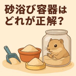 リチャードソンジリスが砂浴びをしているイラストと砂浴び容器の種類を示すアイキャッチ画像