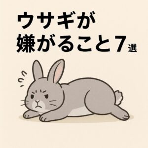 ウサギが嫌がること7選｜ストレスを減らす飼い方と環境づくり