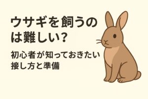 ウサギを飼うのは難しい？と悩む方へ。食事や温度管理の注意点、懐き方のコツ、飼い主の体験談を紹介。初心者でも安心できる準備と接し方を解説します。