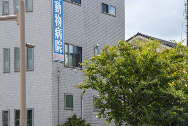 緑の木々に囲まれた病院の建物の外観写真