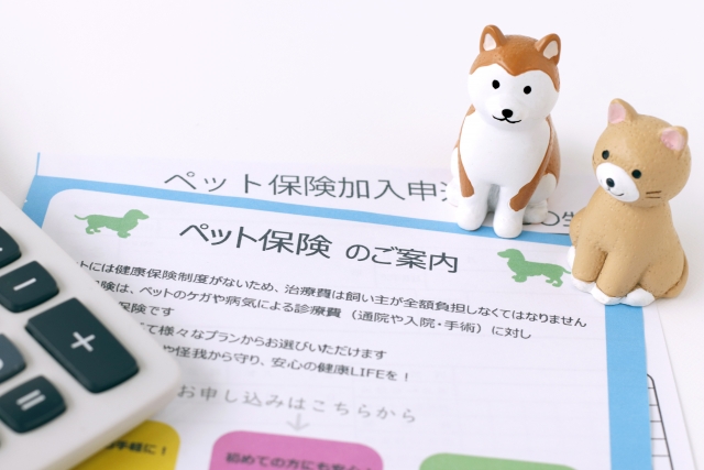 ペット保険のパンフレットと申込書を写した写真。うさぎやリチャードソンジリスの保険加入を説明する場面のイメージ。