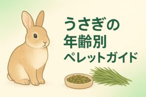 うさぎの年齢別ペレットガイドのアイキャッチ画像。淡いグリーンの背景に、茶色いうさぎと牧草、ペレット皿のイラストが描かれている。
