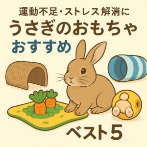 うさぎが夢中になるおもちゃを厳選！ほりほりマットやトンネル、おやつボールなど、運動不足やストレス解消に効果的な人気アイテムを紹介します。