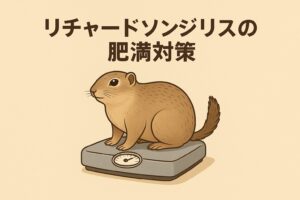 体重計にちょこんと乗るリチャードソンジリスの可愛いイラスト。肥満を防いで健康に過ごすためのヒントをまとめました。