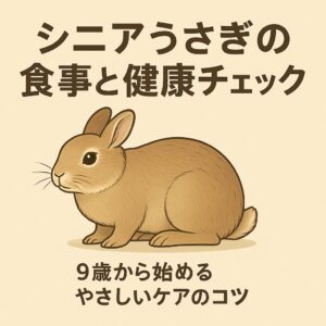 やさしい表情のうさぎが穏やかに過ごすイラスト。9歳から始める食事と健康チェックのポイントをまとめました。