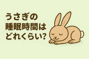うさぎは1日8〜10時間ほど眠りますが、人のようにまとめて眠るのではなく短時間のうたた寝を何度も繰り返します。目を開けたまま寝るのも普通の行動で、リラックスしている証拠です。