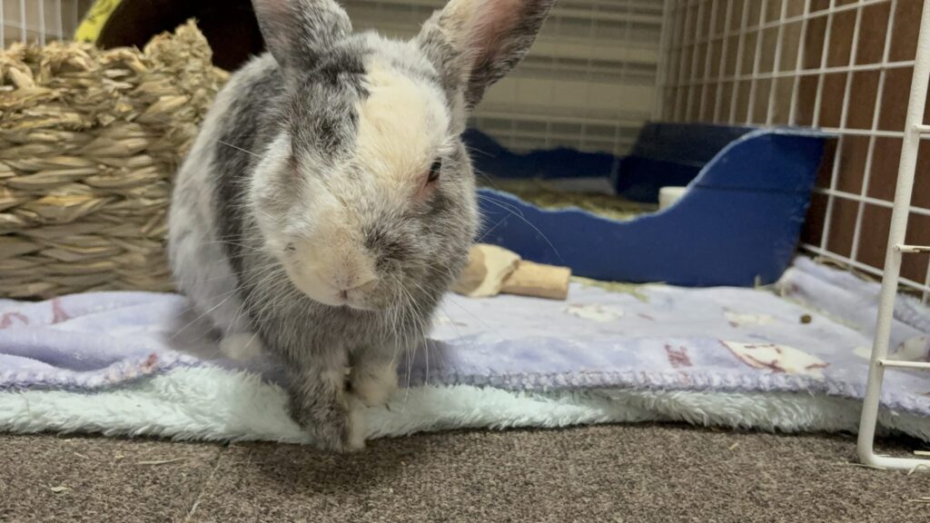 年齢によって変わる抜け毛の特徴