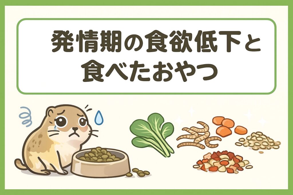 発情期に落ちた食欲と実際に食べたおやつを紹介します