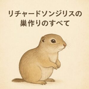 リチャードソンジリスが安心して暮らすための巣作り環境を紹介。牧草やペーパー素材の選び方、そしてフットクッションで過ごすライの様子も掲載しています。