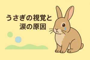 見え方の特徴と涙トラブルの理由をまとめて分かりやすく解説したアイキャッチ画像です。