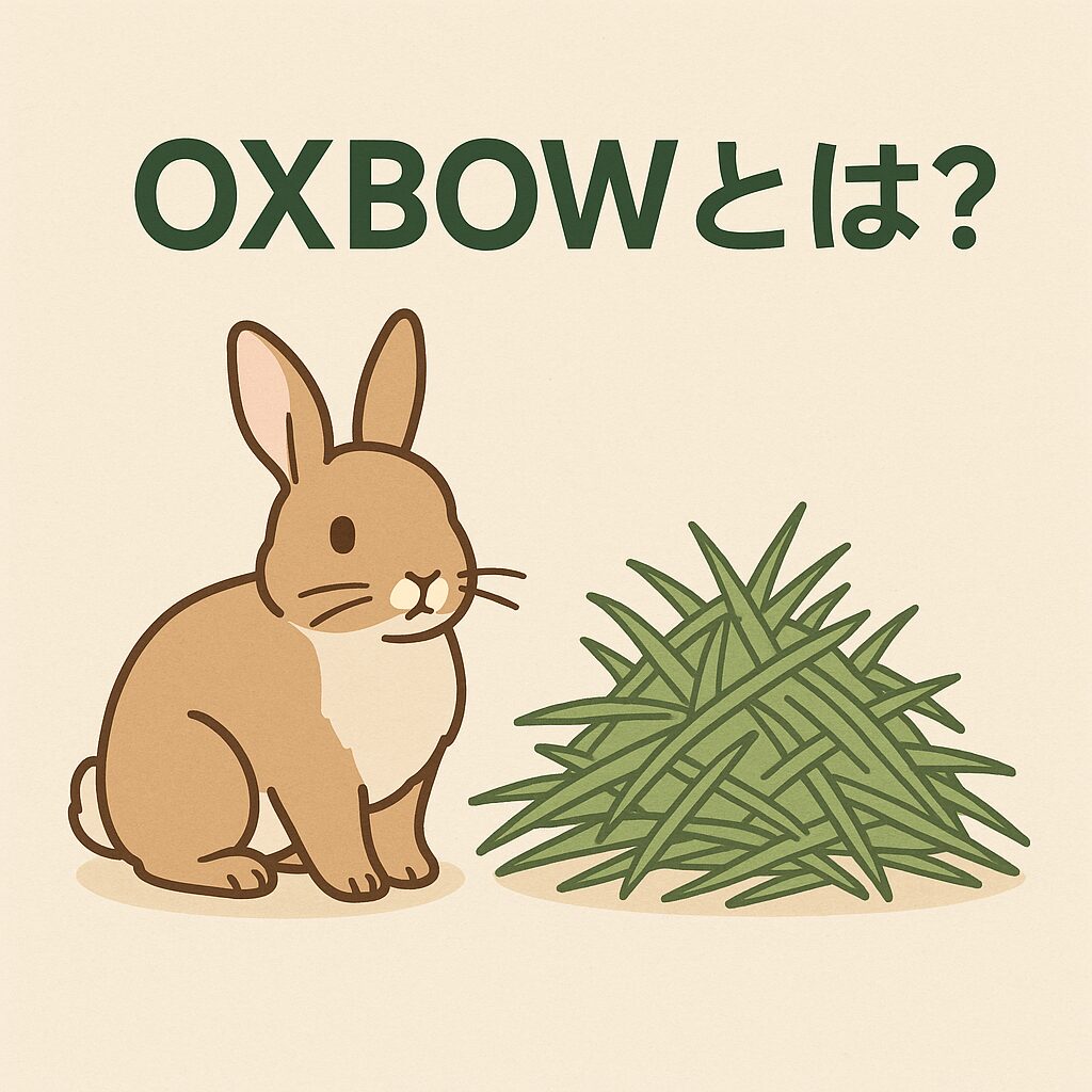 OXBOW（オックスボウ）は、うさぎの食事管理で名前を見かける海外メーカーです。 ペレットや牧草の位置づけが明確で、牧草中心の食事設計を重視しています。