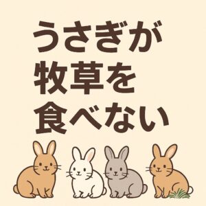 牧草を食べない原因と改善策をわかりやすくまとめた記事のアイキャッチ画像です。