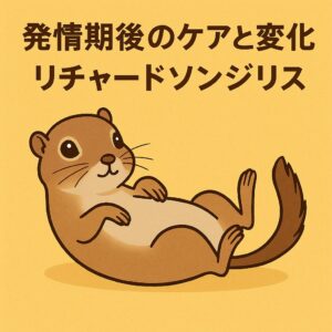 へそ天でリラックスするリチャードソンジリスを描いたアイキャッチです。