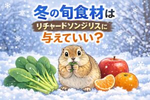 冬野菜や果物、ジリスにあげても大丈夫？