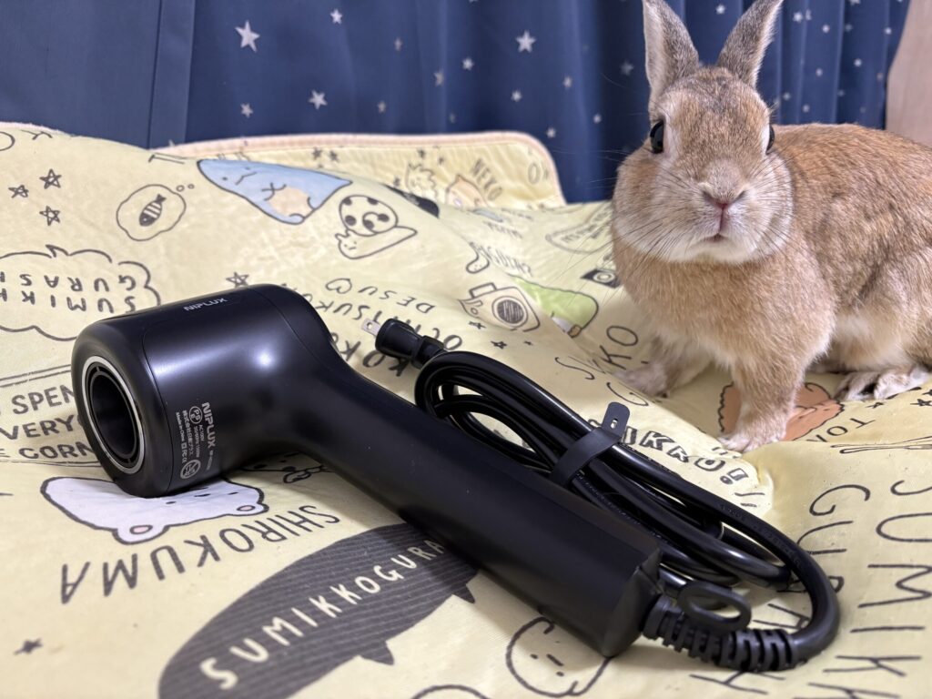 うさぎとヘヤドライアー