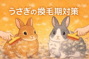 換毛期はうさぎにとって体調を崩しやすい時期です